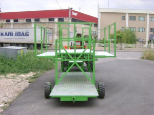 DSC06165